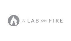 A Lab On Fire