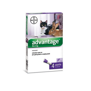 Advantage Spoton 4 Pipette 0,8 ml