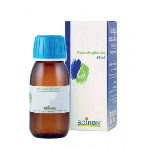 Aesculus Hippocastanum Macerato Glicerico 60 ml