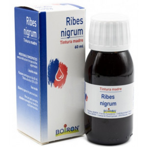 Ribes Nigrum 60 ml Tintura Madre