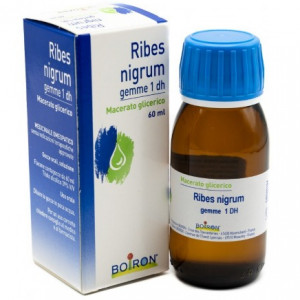 Ribes Nigrum Gemme 60 ml Macerato Glicerico