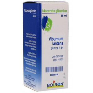 Viburnum Lantana Gemme Macerato Glicerico 60 ml