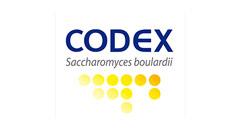 Codex