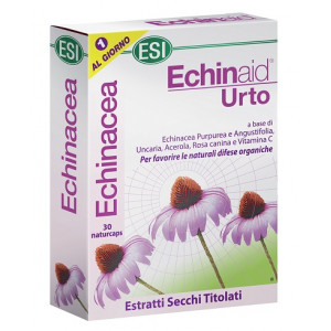 Echinaid Urto 30 Cps