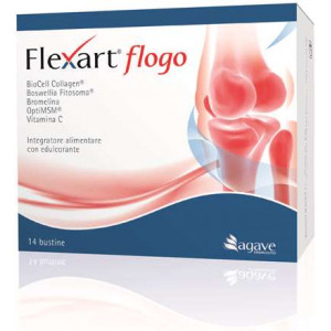 Flexart Flogo 14 Bustine