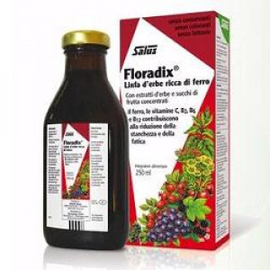 Floradix 250 Ml