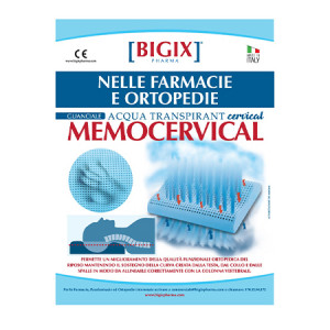 Guanciale Memocervical RANK 484