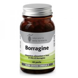 Borragine
