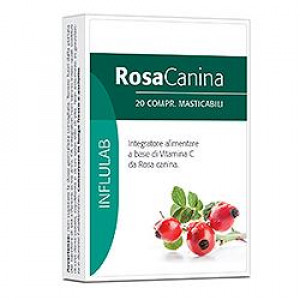 Rosa Canina