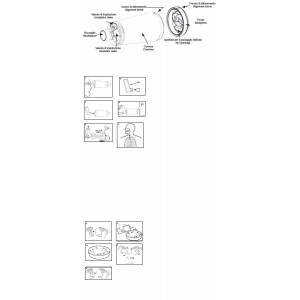 L'Espace Ad Bocc Magenta