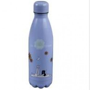 Bottiglia Thermos Viaggio Romantico In Acciaio Inox da 500 Ml