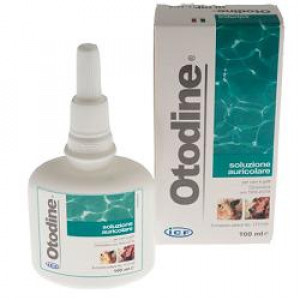 Otodine Det Liq 100Ml