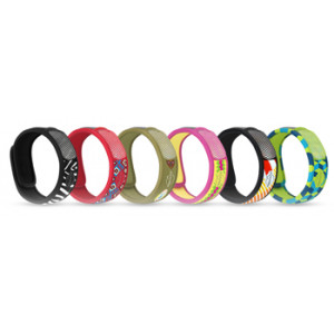 Parakito Efas Bracc Graf Eth P