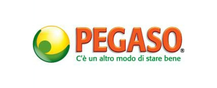 Pegaso srl