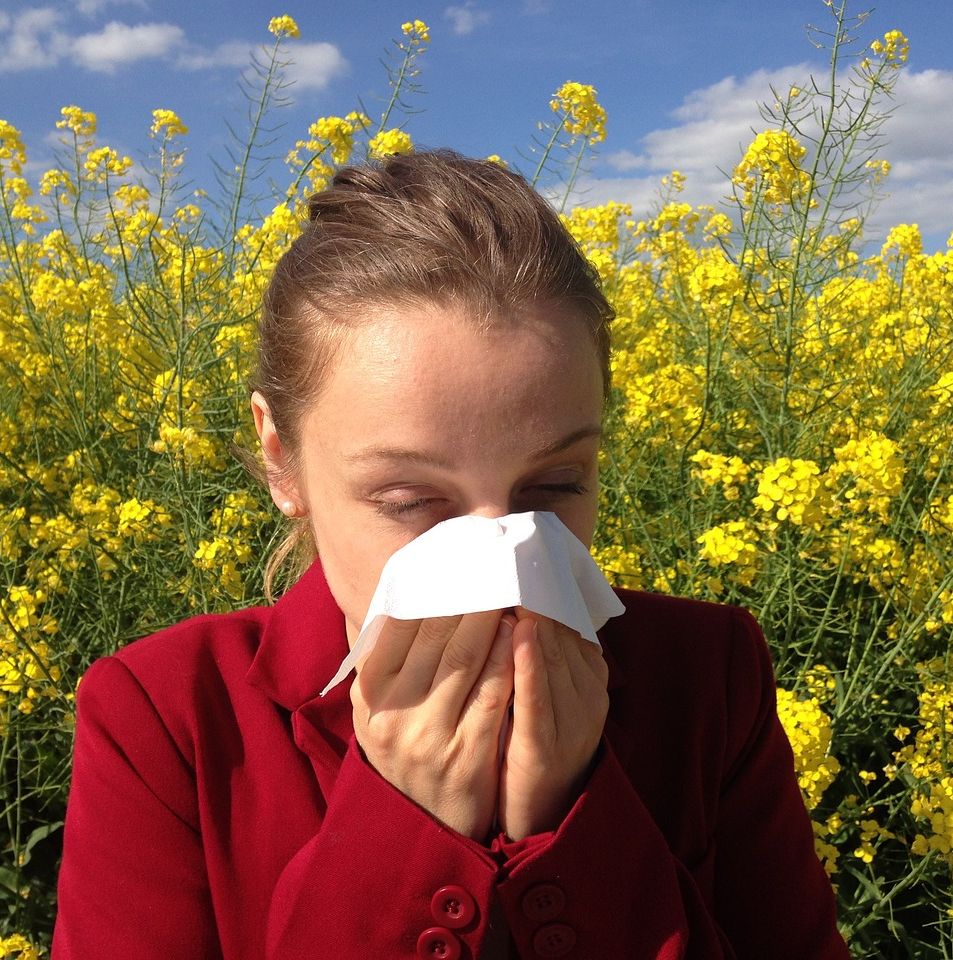 Rinite allergica sintomi