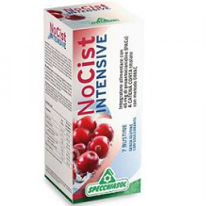 Nocist Intensive 7Bust